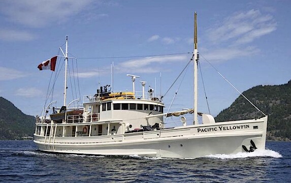 Yellowfin (starboard)